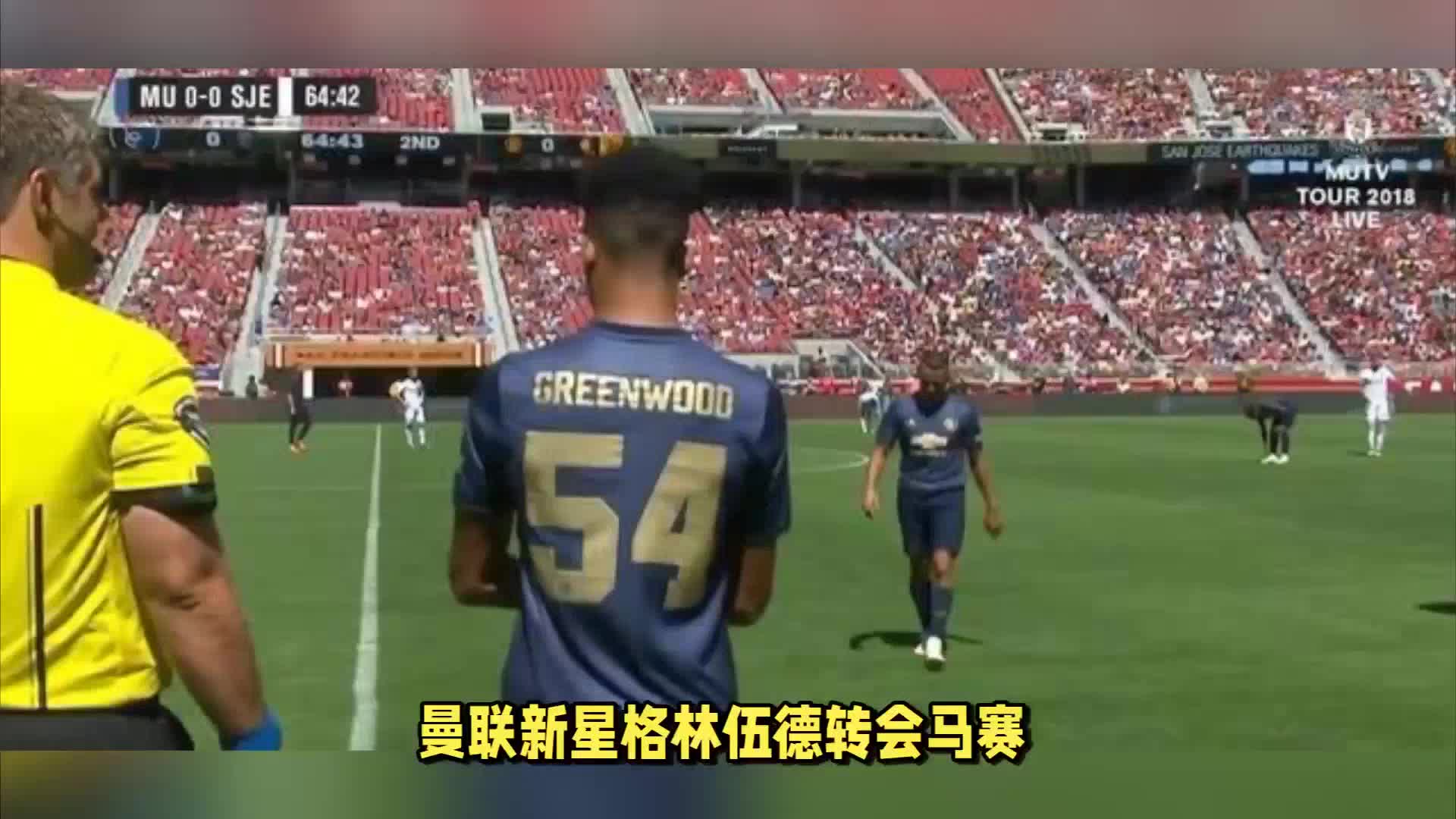 身体素