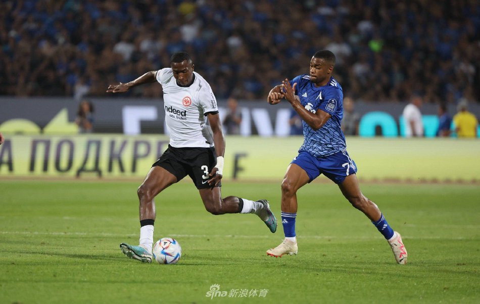 多功能型球 多功能型球